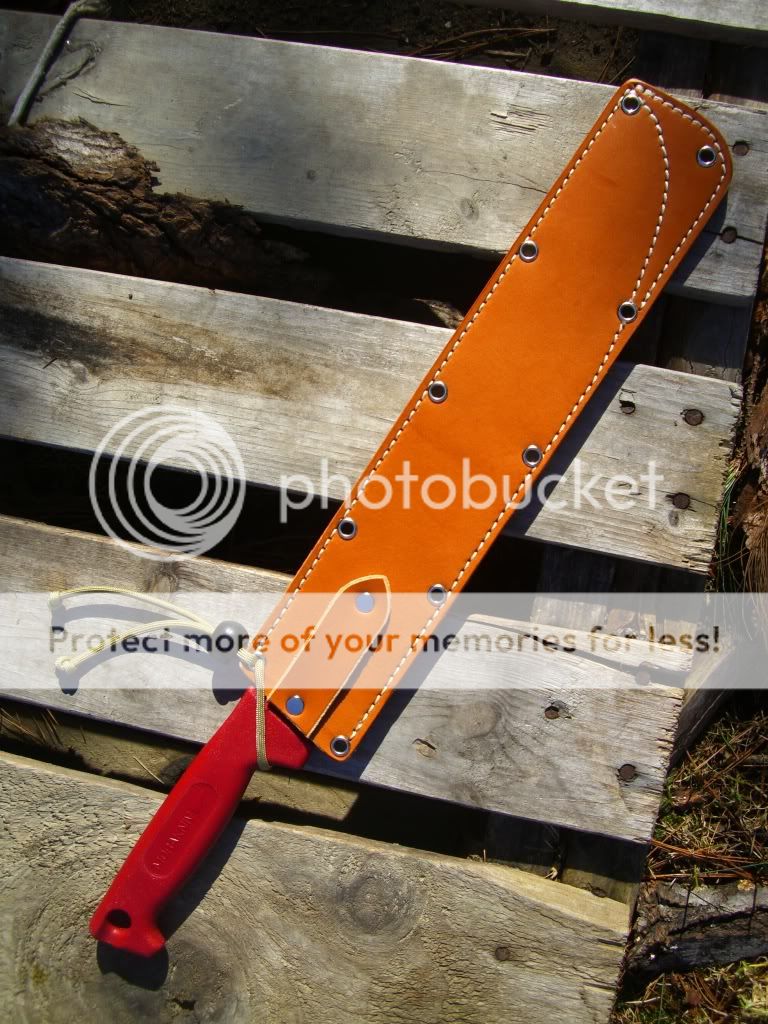 [Linked Image from i753.photobucket.com]