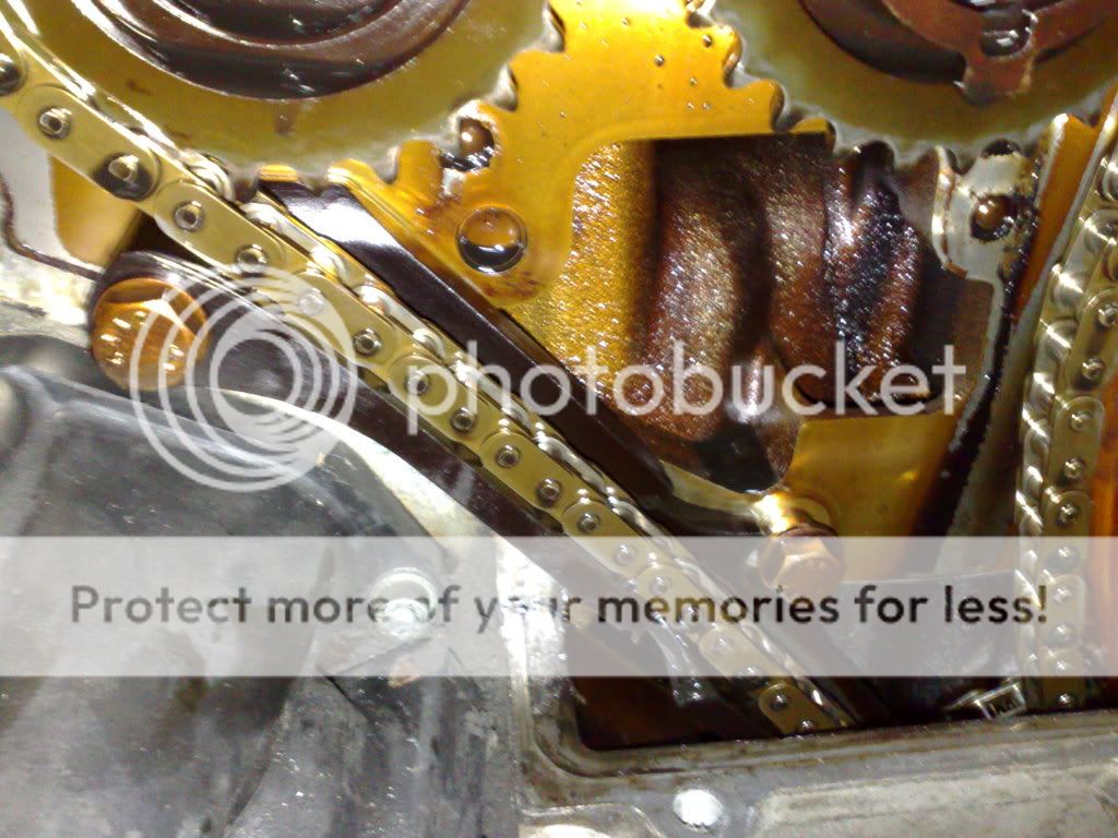 Timing Chain Noise (Pics and Vids)