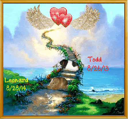 photo FotoFlexer_Animation_zps93280df0.gif