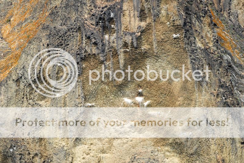photo 20-1.jpg