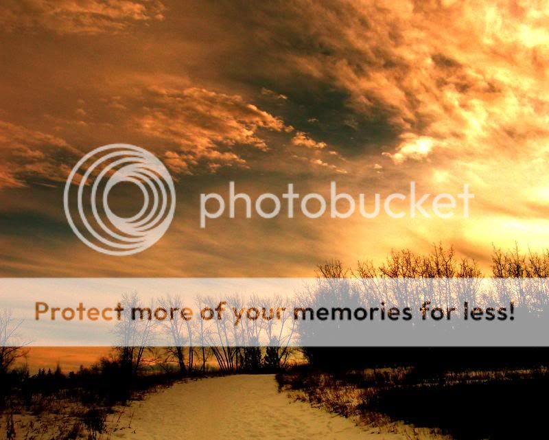 sunsets_004.jpg